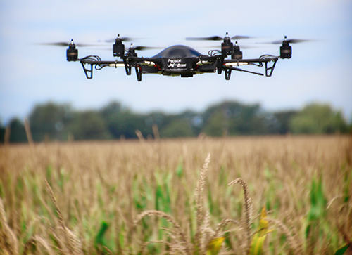 How Drones Are Pushing Further The Agriculture Potential